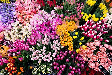 《帝国时代4》10月周年更新详情 添加两个新文明